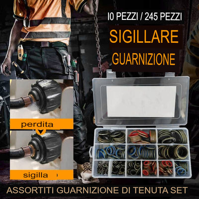 Set di guarnizioni assortite