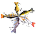 LOMONI™ Esche da nuoto microarticolate