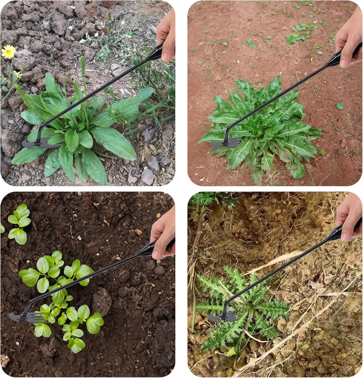LOMONI™ Strumento manuale per la rimozione delle erbacce da prato e giardino