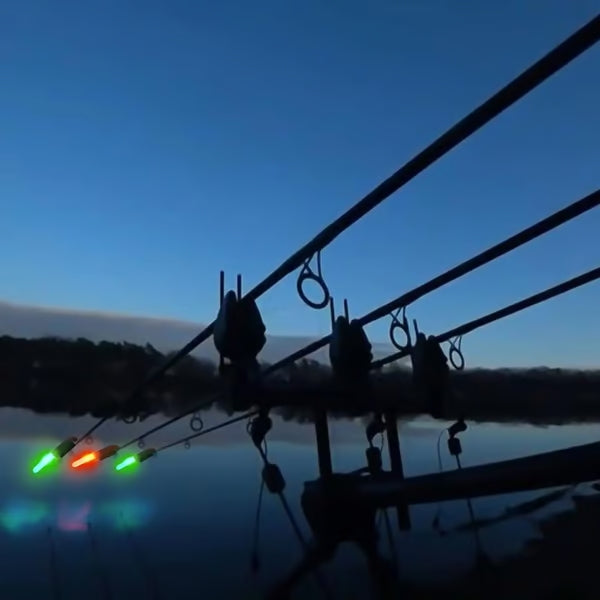 LED pesca lumina con frutta pesca con campana tascabile