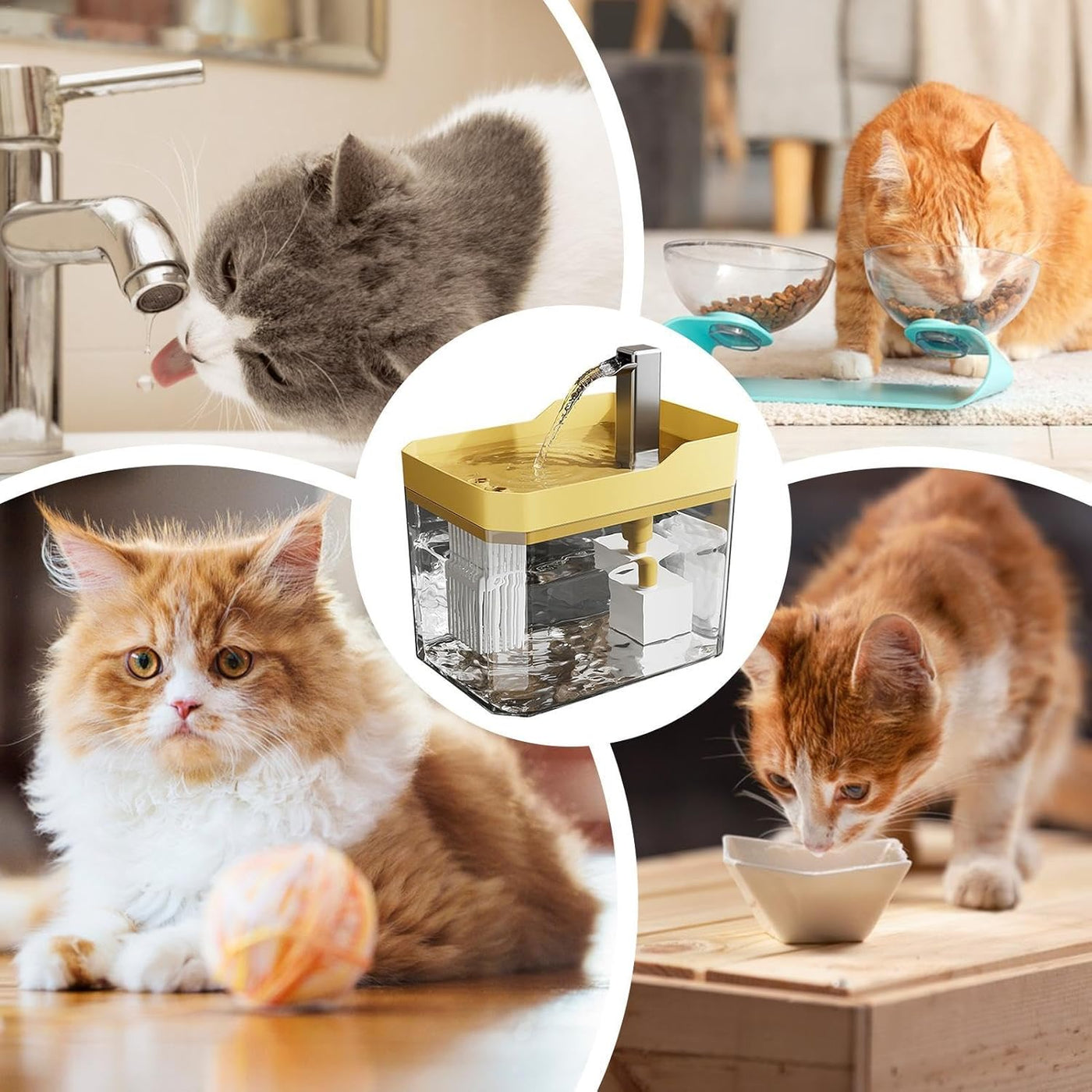 LOMONI™ Fontana automatica per animali domestici