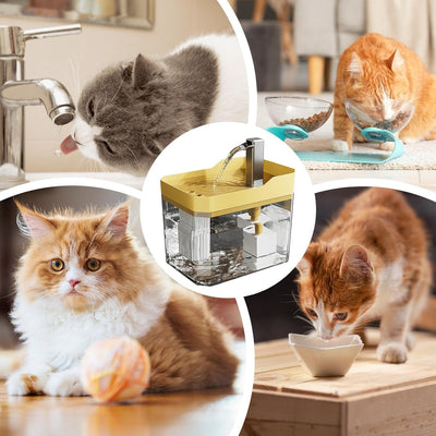 LOMONI™ Fontana automatica per animali domestici