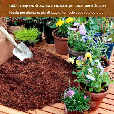 LOMONI™ Mattoni di cocco biologici di qualità superiore per piante